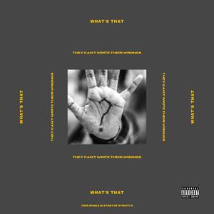 WHAT'S THAT(feat. Ill Addicts) (Explicit)