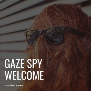 Gaze Spy Welcome