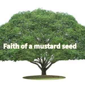 Faith of a mustard seed