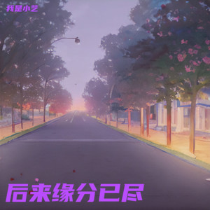 可惜陪你看风景的人不是我 (Live)封面