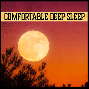 Comfortable Deep Sleep: Insomnia Help, Aid Sleep, Bedtime Music, Soothing Relaxing Songs, Guided Meditations