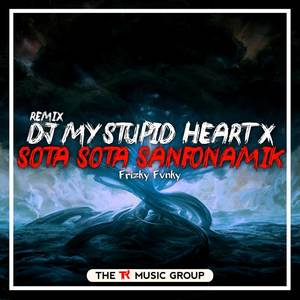 DJ My Stupid Heart X Sota Sota Sanfonamix (Remix)