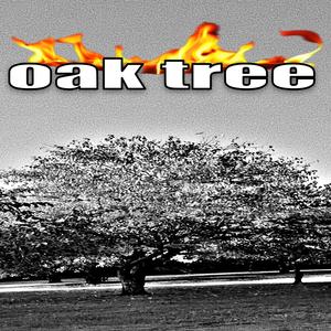 oak tree (feat. probablyhades, Yung Shiesty the GOAT & David Rice) [Explicit]