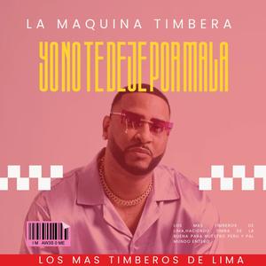 Yo No Te Deje Por Mala