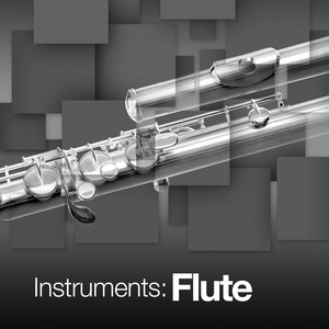 Instruments: Flute