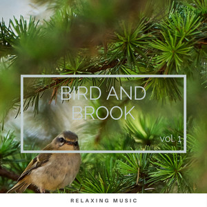 Islands of Natural Voices for Naps pt. 1(feat. Música ambiental relajante, Aquagirl & Deep Sleep Nature Sounds)