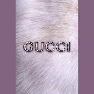 GucciGang（Remix）