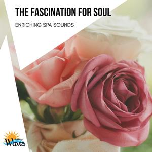 Rejuvenating with the Hot Springs