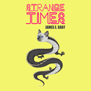 Strange Times (Explicit)