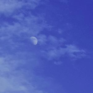 夏日最美的三十张拍立得相片