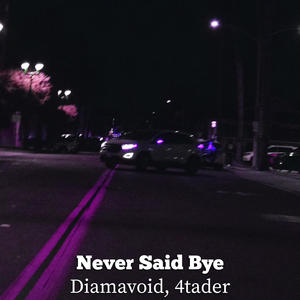 Never Said Bye (feat. 4tader) (Explicit)