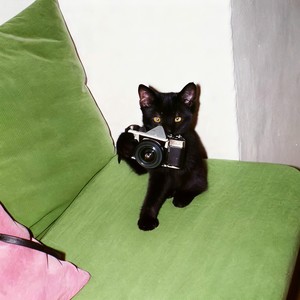 只怕幸福眼看完整