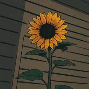 Helianthus