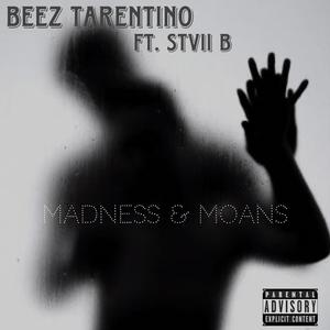 Madness & Moans (feat. Stvii B) [Explicit]