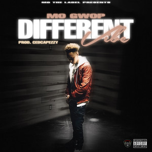 Diffrent Vibe (Explicit)