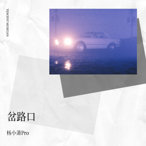 杨小萧Pro - 岔路口