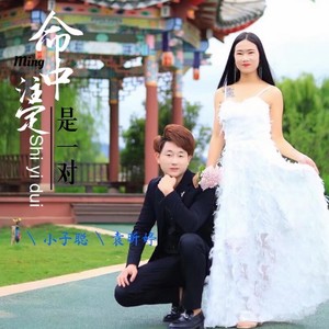 命中注定是一对 (伴奏)