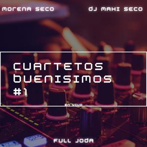 Cuartetos Buenisimos #1 (En Vivo) [Remix]