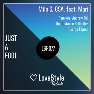 Just a Fool (Extended Mix)