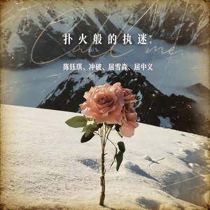 扑火般的执迷