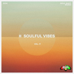 Soulful Vibes Vol. 17