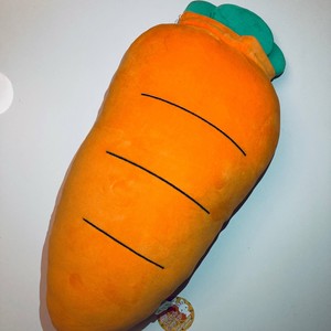 Carrots Campaign (feat. Sauceboi) [Explicit]