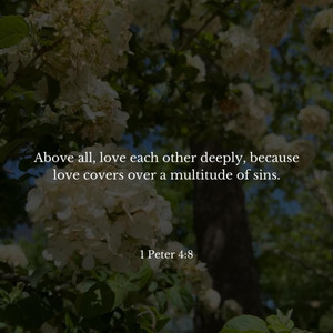 She's My Love (Explicit)