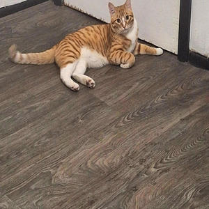 Better days (Explicit)