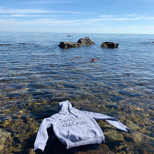 阿德莱德是片海洋