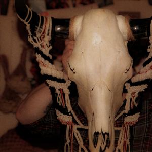 They'll Never Catch Us If They Can't Catch Us (feat. Alerisa Rose & Chase Cavacco)