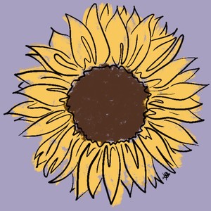 sunflowers
