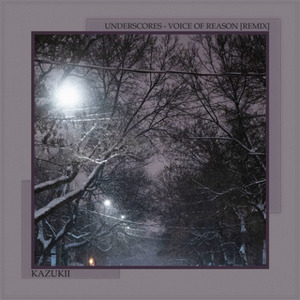 voice of reason (Kazukii Remix)