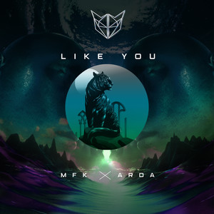 Like You (Extended Mix)