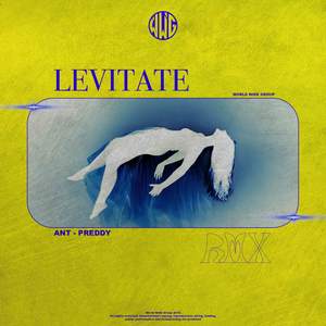 Levitate (Remix|Explicit)