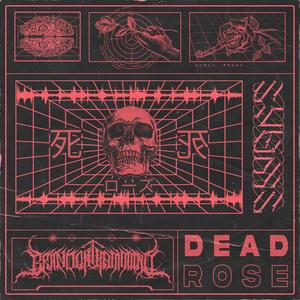 Dead Rose (Explicit)