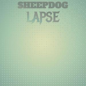 Sheepdog Lapse