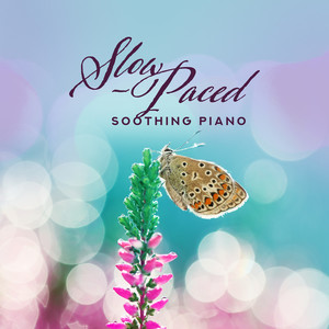 Slow-Paced Soothing Piano: Very Calming Sounds for Stress and Anxiety Relief, Deep Relaxation