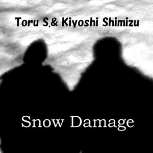 Snow Damage