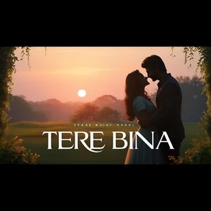 Tere Bina
