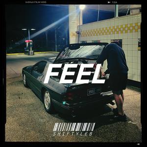 FEEL (Explicit)