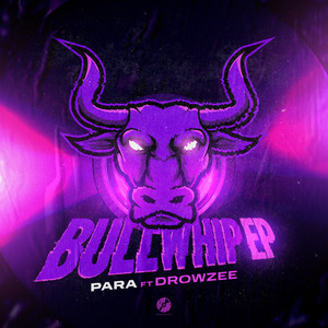 Bullwhip