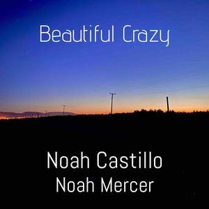 Beautiful Crazy (feat. Noah Mercer)