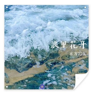 浪里花开 (官方DJ版)