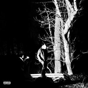 WTF?! (feat. Fleek1x) (Explicit)