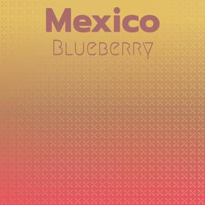 Mexico Blueberry