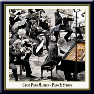 Symphony No. 40 In G Minor, Kv 550 - (1) Molto Allegro