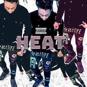 Everybody Hate Heat (The Diary) [Explicit]