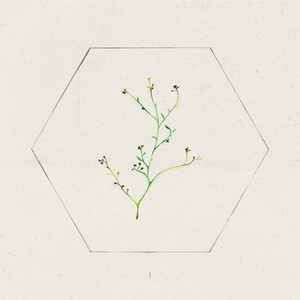 Shortcut (2022 Remastered Version)