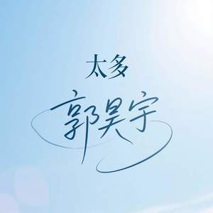 太多 (伴奏)