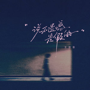 说不遗憾是假的-王佳音